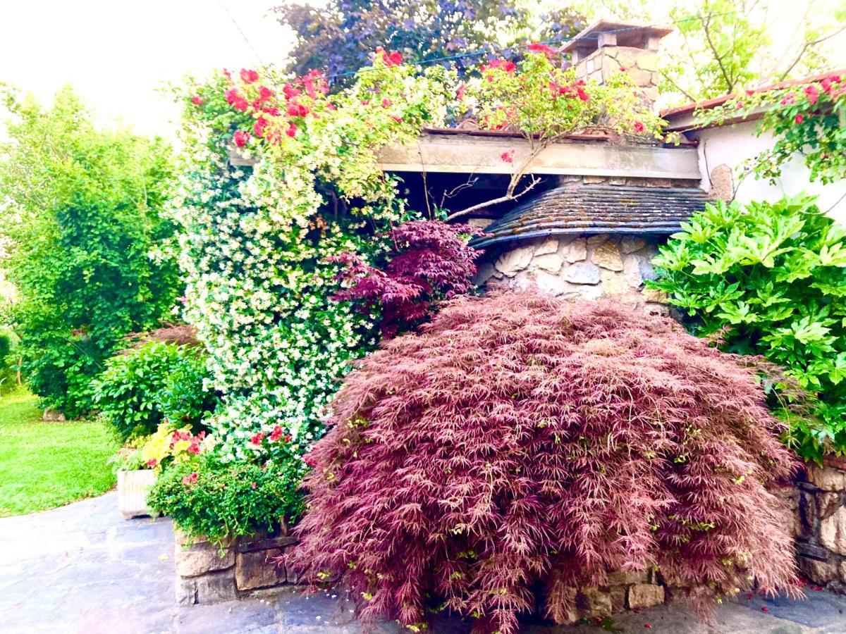 Tuscany To Love - Holiday Home - Casa Vacanze Pieve a Nievole Zewnętrze zdjęcie
